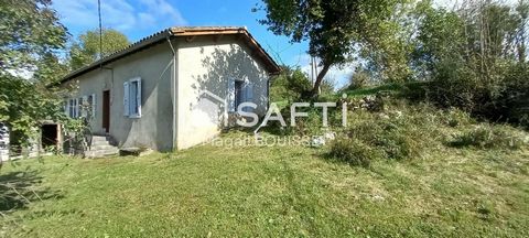 photo no. 13