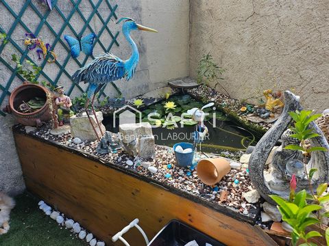 photo no. 12