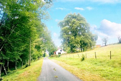 Maison à vendre 6 pièces avec 1.5 hectare de terrain