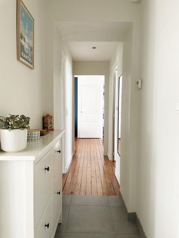 photo no. 11