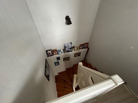 photo no. 6