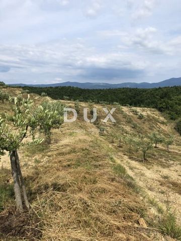 Location: Istarska županija, Cerovlje, Draguć. ISTRIA, DRAGUĆ – A hidden olive paradise with potential for renewal In the heart of Istria, hidden behind the hills between Pazin and Buzet, there is a magical place – Draguć, an authentic town that take...