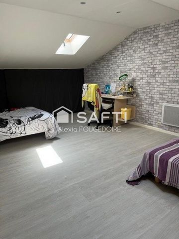 photo no. 11