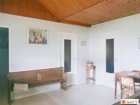 photo no. 10
