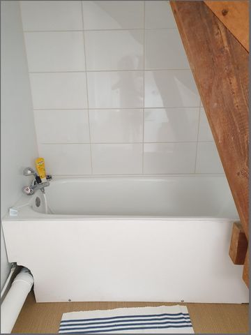 photo no. 8