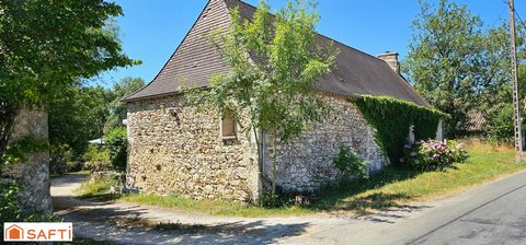 photo no. 10