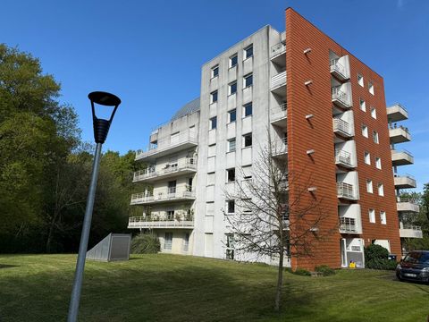 photo no. 12