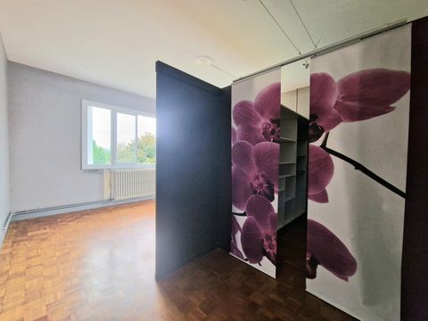 photo no. 11