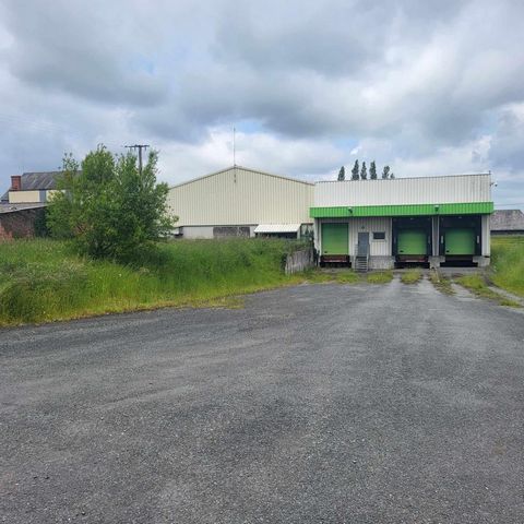 photo no. 2