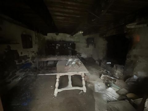 photo no. 8