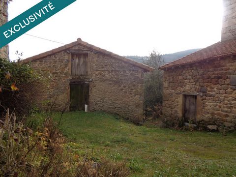 photo no. 11