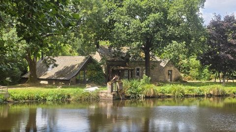 Gîtes 350 m², partie commerce et emplacement camping.