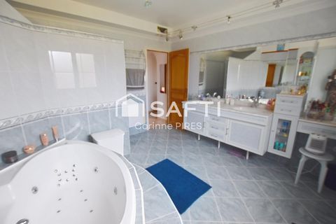 photo no. 11