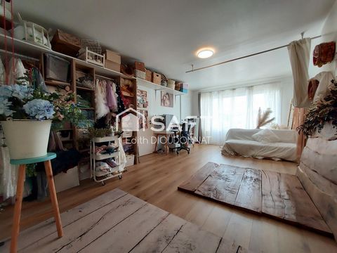 photo no. 9