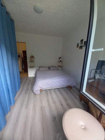photo no. 5