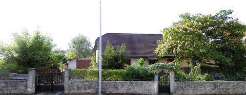photo no. 13