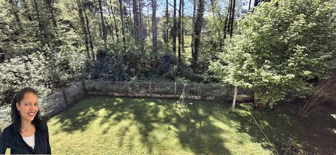photo no. 12