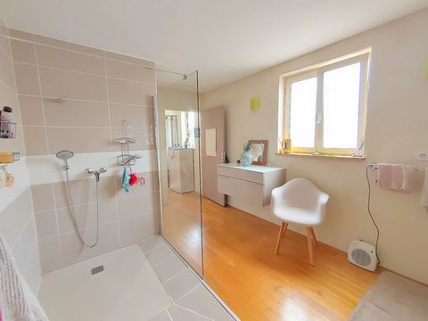 photo no. 16
