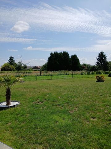 photo no. 10