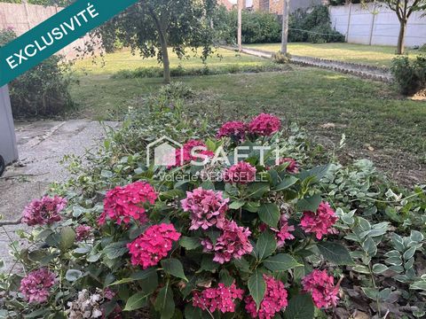 photo no. 10