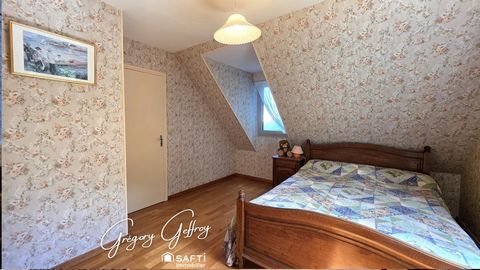 photo no. 11