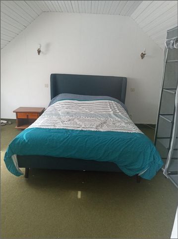 photo no. 11