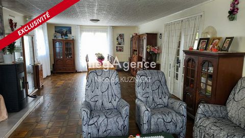 photo no. 6