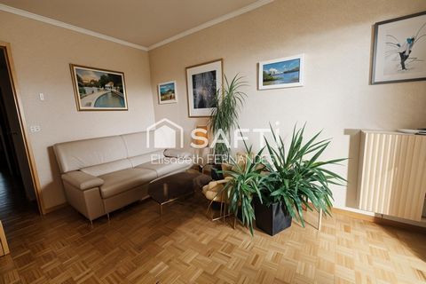 photo no. 5