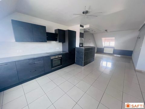 Joli appartement - quartier calme - Sarreguemines