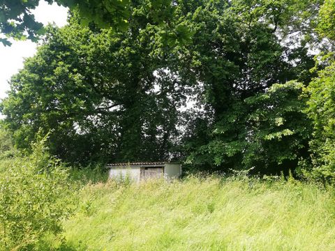 photo no. 16