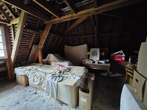 photo no. 13