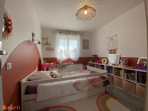 photo no. 8
