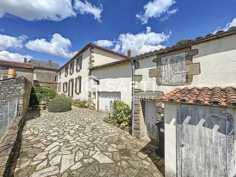 photo no. 15