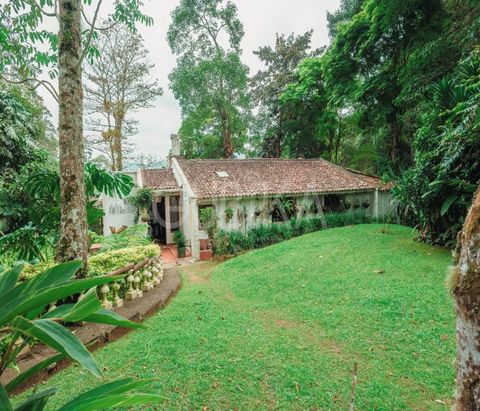 Beautiful country estate, with an aggregate house and guest house (rented for 1,900,000), beautiful lot of 13706 meters, also has 2 warehouses. Its privileged location, keeps it away from noise and other properties, enjoys a very nice social area wit...