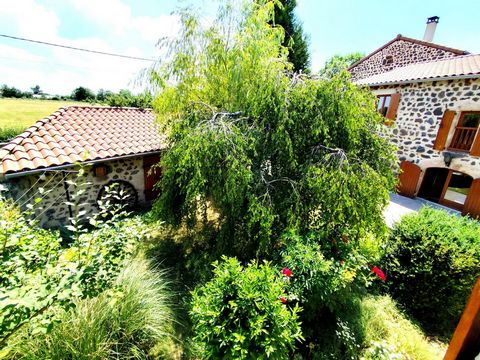 photo no. 11
