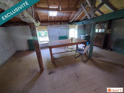 photo no. 13