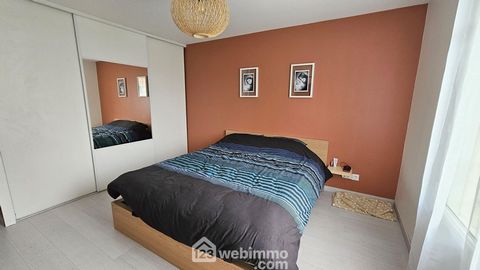 photo no. 11