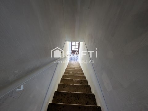 photo no. 5