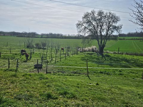 photo no. 13