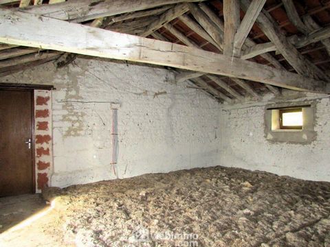 photo no. 17