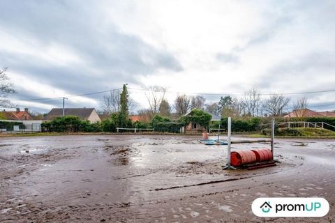 The equestrian center and pony club of Doullens hopes to reopen its doors and make the joy of horse lovers again. It covers 8,700 m2 in total and is for sale with its housing, a 3-room apartment. There are 24 horse boxes. The professional premises, c...