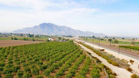 Rustic property of 46,816 m2 (the minimum to build a legal home is 10,000 m2) with a house to reform and more than enough water supply to irrigate it all. Located 3 km from the center of Callosa de Segura and Cox, with all services. Recreational farm...