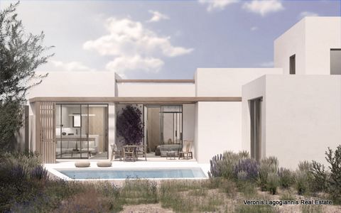 Kastraki, Naxos, a house of 92 m2 is available for sale. The house has 2 bedrooms (with the possibility of a third), 3 bathrooms, a kitchen and a living room. Each space has large frames overlooking the pool. The guest house has an independent entran...