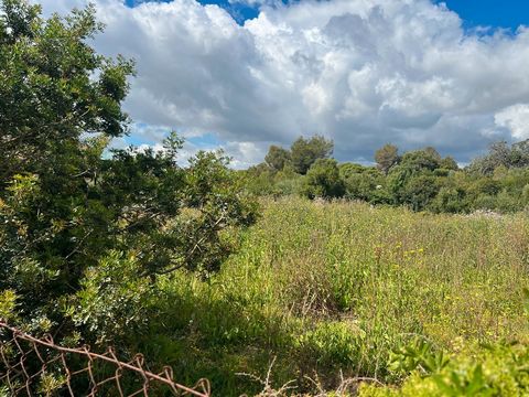 Urban land in Puerto de Alcudia with project and license a few minutes from Playa de Muro. The plot has 329m2, the project is a detached house distributed on two floors, with swimming pool, garden, parking, etc. in a very quiet area about 300m from P...