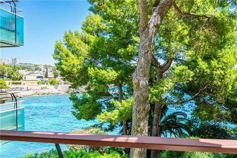 Apartment with sea views and direct descent to the sea, living room, open kitchen, 2 double bedrooms, 2 bathrooms (1 en suite), parquet floors, double glazing, air conditioning hot / cold, 2 terraces, communal pool, sea views, direct descent to the p...