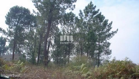 Land with an area 3250 m2 Ref.:4310 BETWEEN DOORS Founded in 2004, the ENTREPORTAS group over 15 years old, is a leader in real estate mediation in the markets in which it operates, offering a quality and innovative service. ENTREPORTAS real estate h...