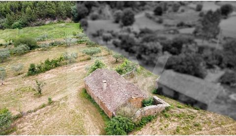 House for reconstruction, with 120 m² of implementation. Located on a plot of 4,950m², with cultivated land and olive trees, in the village of Enxames, in Fundão, where simplicity is wealth. Nature dazzles those who live here, agriculture sustains th...