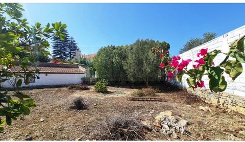 Single storey 6 bedroom villa on a plot of 915m2 in Parede, Cascais. Former 6 bedroom architect's house, with some adaptations. It has an original support porch and more recently also an attached 1 bedroom house. Large interior garden and parking for...