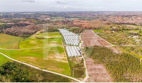 In einer der atemberaubendsten und begehrtesten Regionen Portugals gelegen, bietet dieses einzigartige Anwesen eine außergewöhnliche Gelegenheit für diejenigen, die einen ruhigen Lebensstil in der Nähe der Natur suchen. Mit 5 Hektar rustikalem Land b...