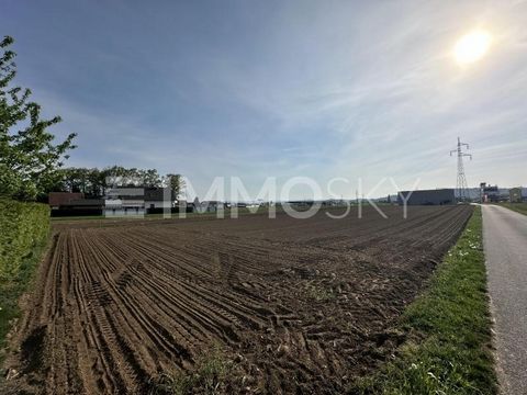 This unique commercial property is waiting for a new owner. The big advantage of this property is its very central location, it is namely only 2 minutes from the Leibnitz motorway entrance. In addition, it is located almost directly on the main road ...